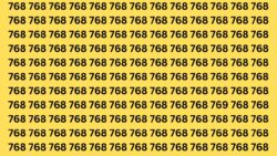 New Optical Illusion — Can You Find the Camouflaged 769 in Five Seconds?
